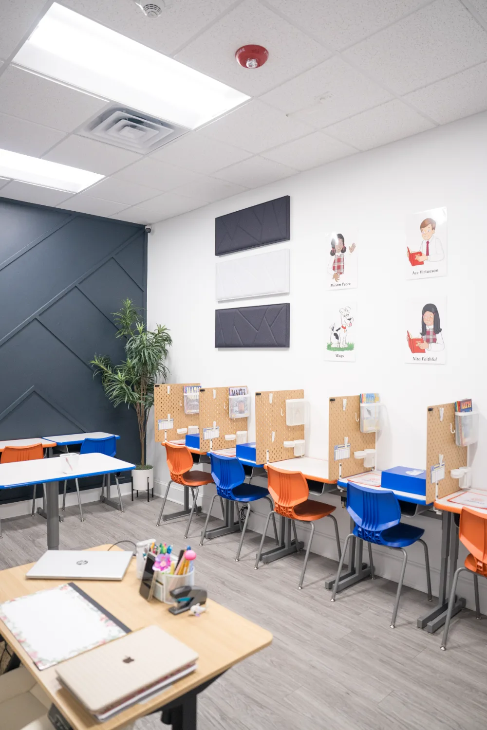 A wall of individual study stations seen from the side.
